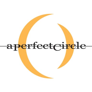 A Perfect Circle